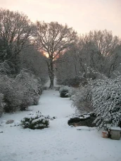 Ground floor view of the back garden under snow