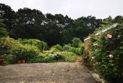Ground floor view of back garden, far side
