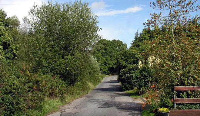 Abacus Bed and Breakfast Winter